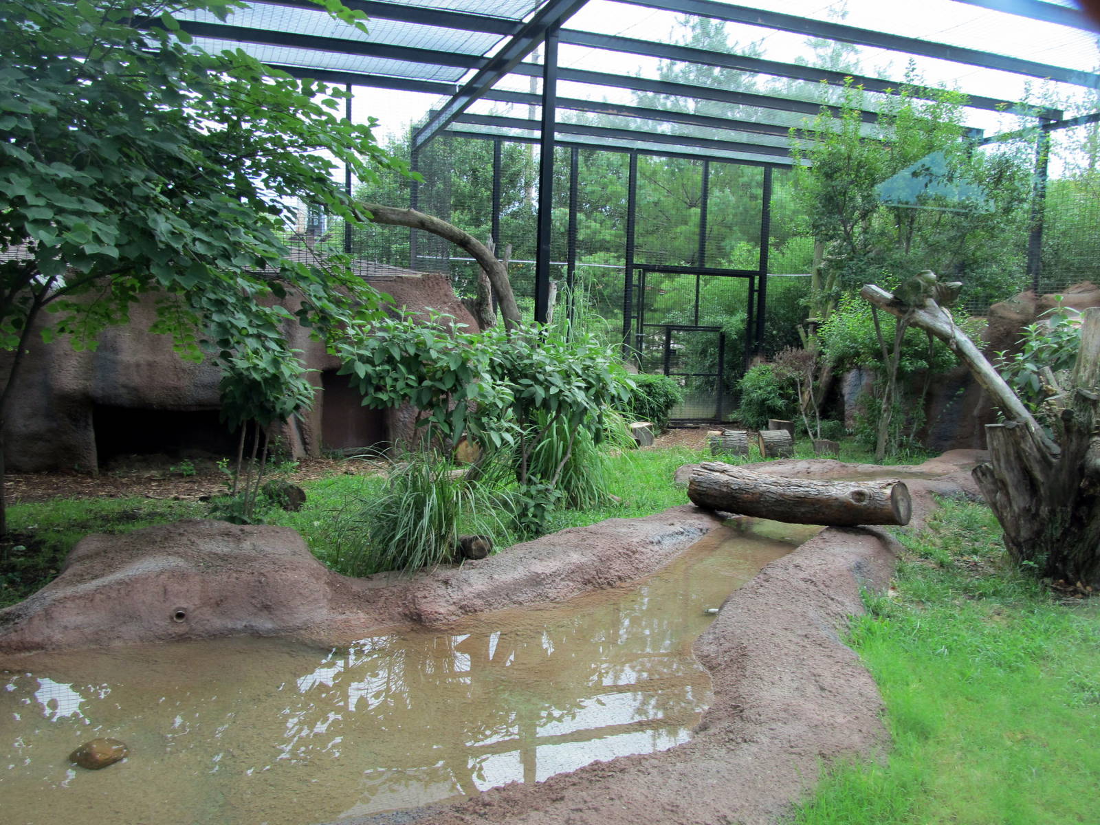 Topeka Zoo 2011 - Black Leopard Exhibit