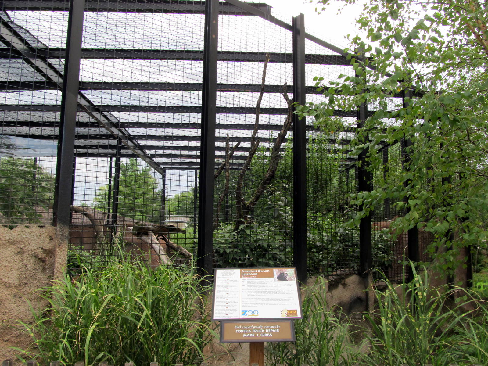 Topeka Zoo 2011 - Black Leopard Exhibit