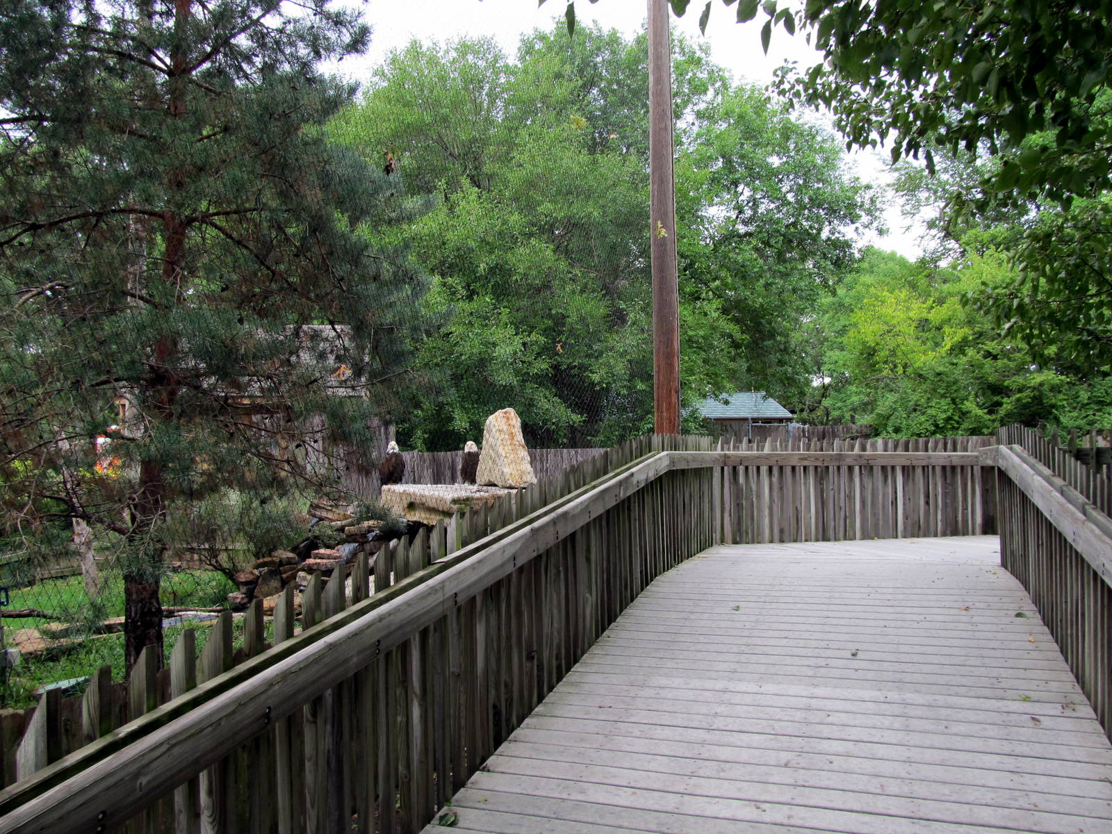 Topeka Zoo 2011 - Boardwalk