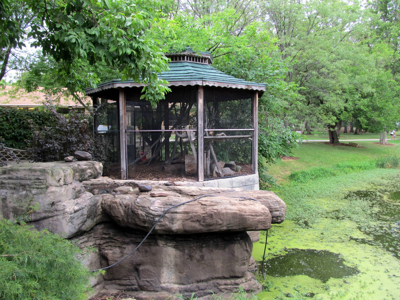 Topeka Zoo 2011 - Bobcat Exhibit