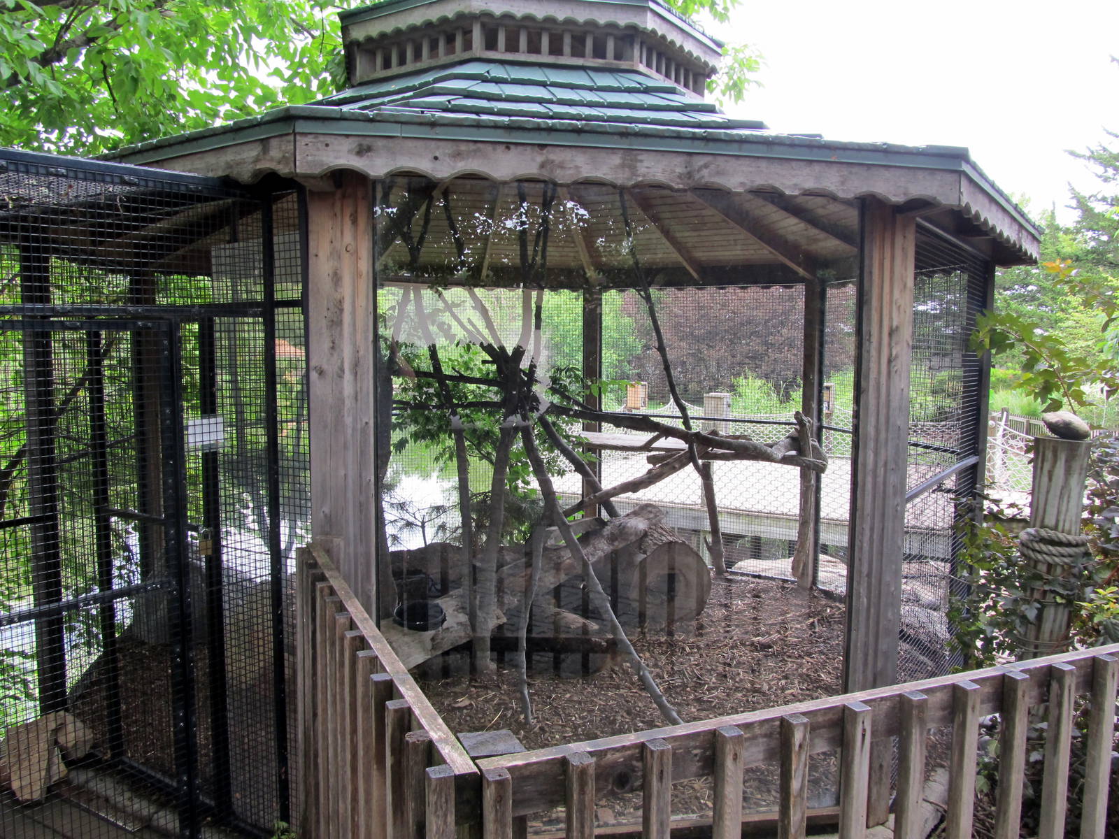 Topeka Zoo 2011 - Bobcat Exhibit