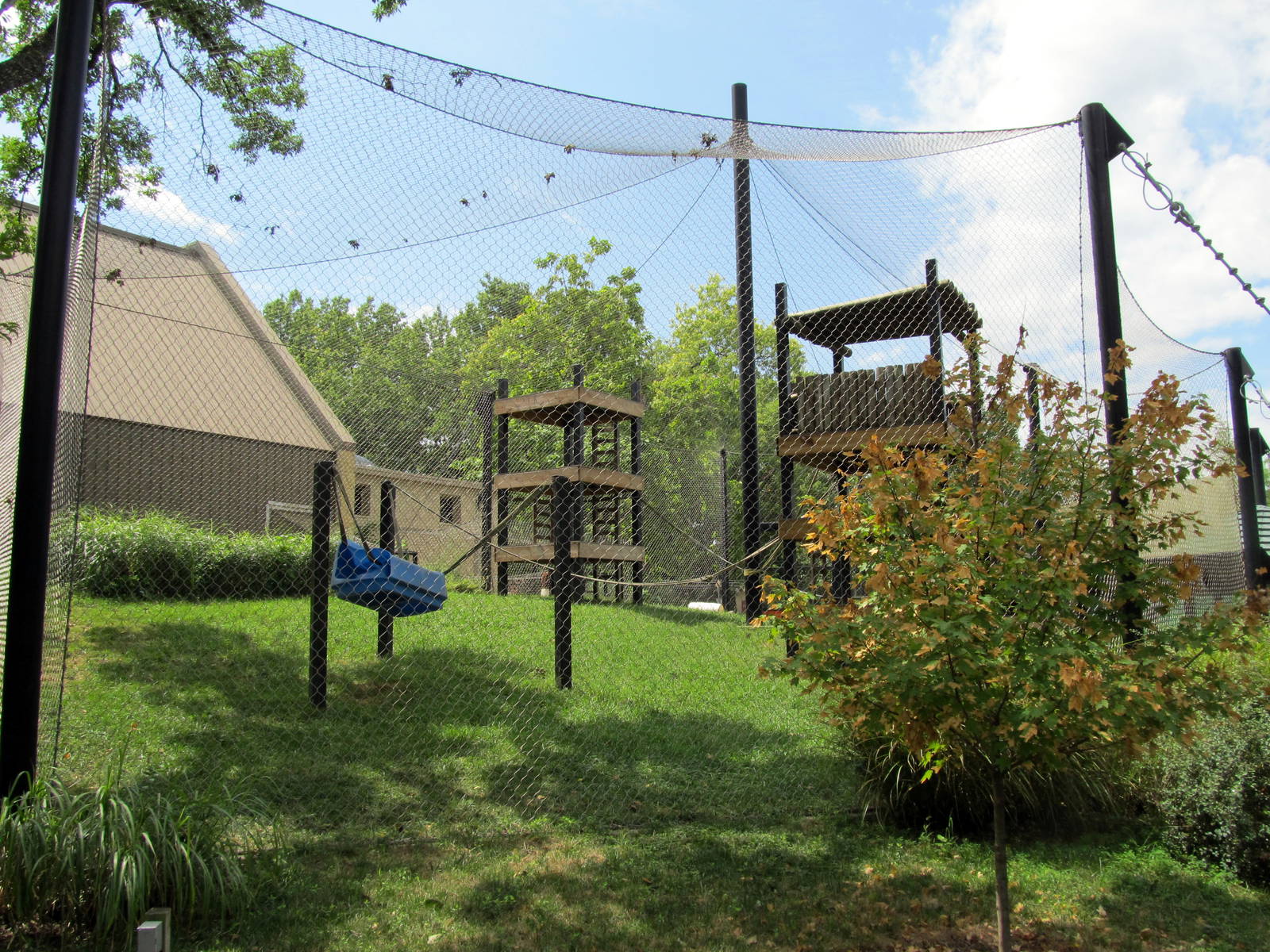 Topeka Zoo 2011 - Bornean Orangutan Exhibit