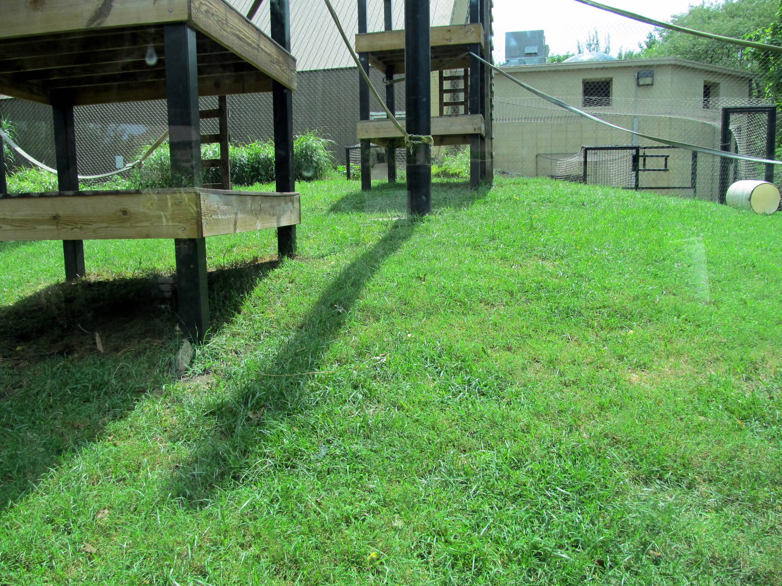 Topeka Zoo 2011 - Bornean Orangutan Exhibit