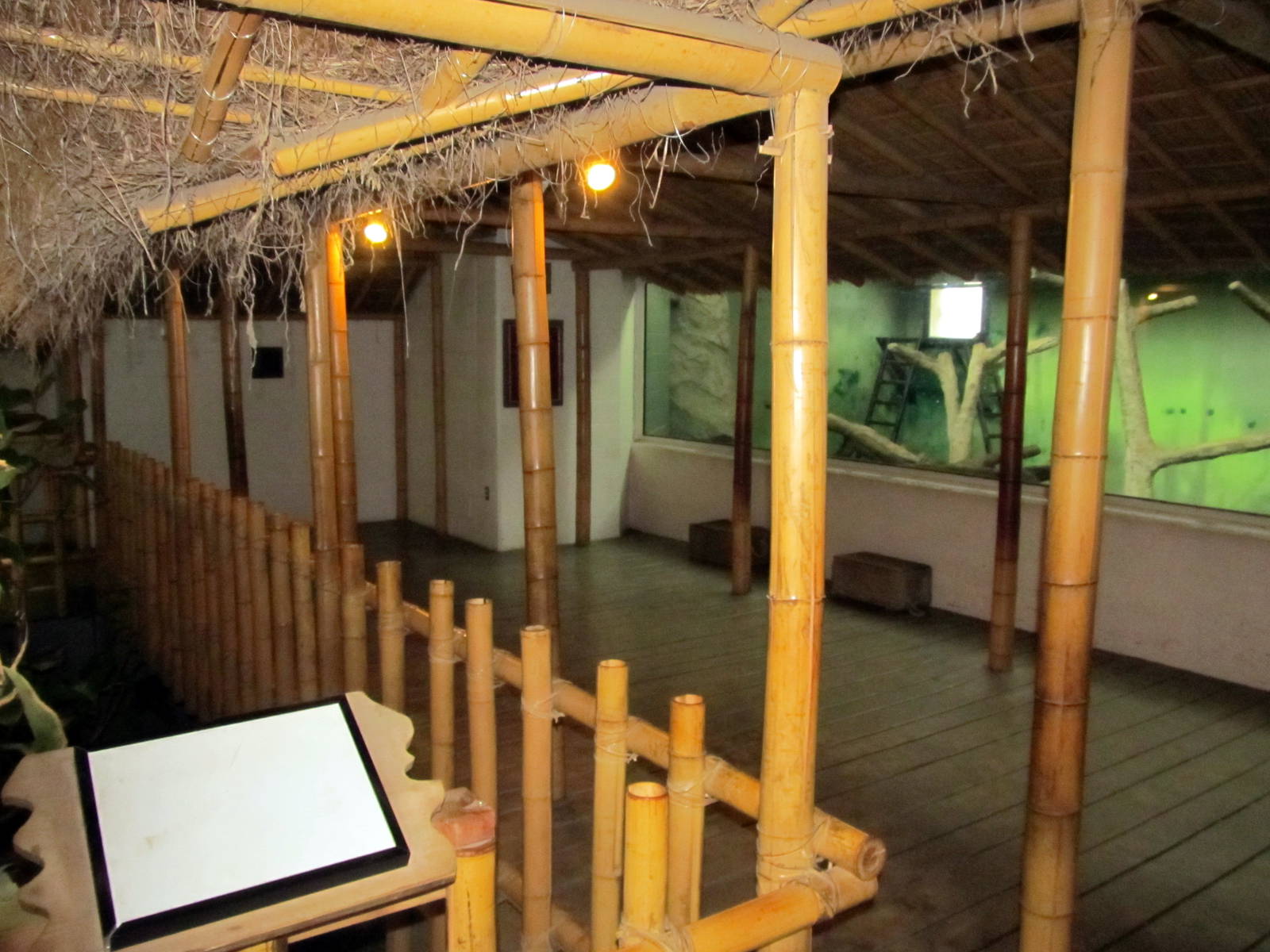 Topeka Zoo 2011 - Bornean Orangutan Viewing Area