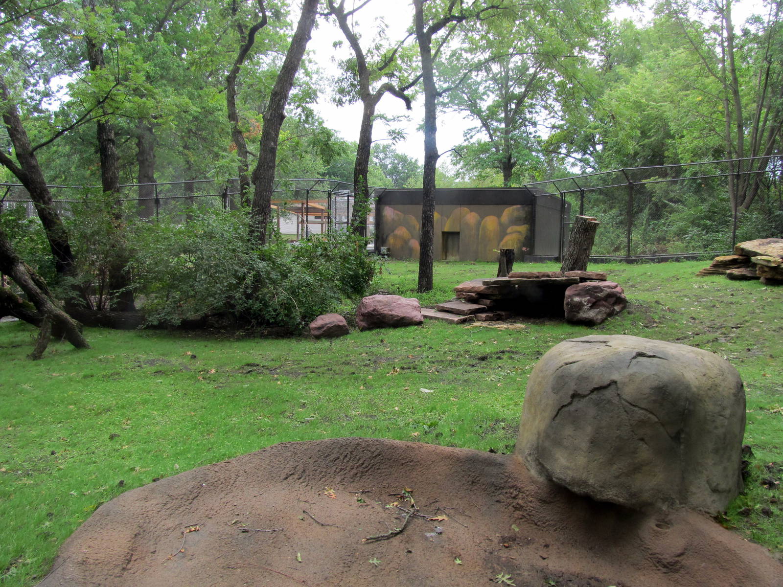Topeka Zoo 2011 - Future African Wild Dog Exhibit