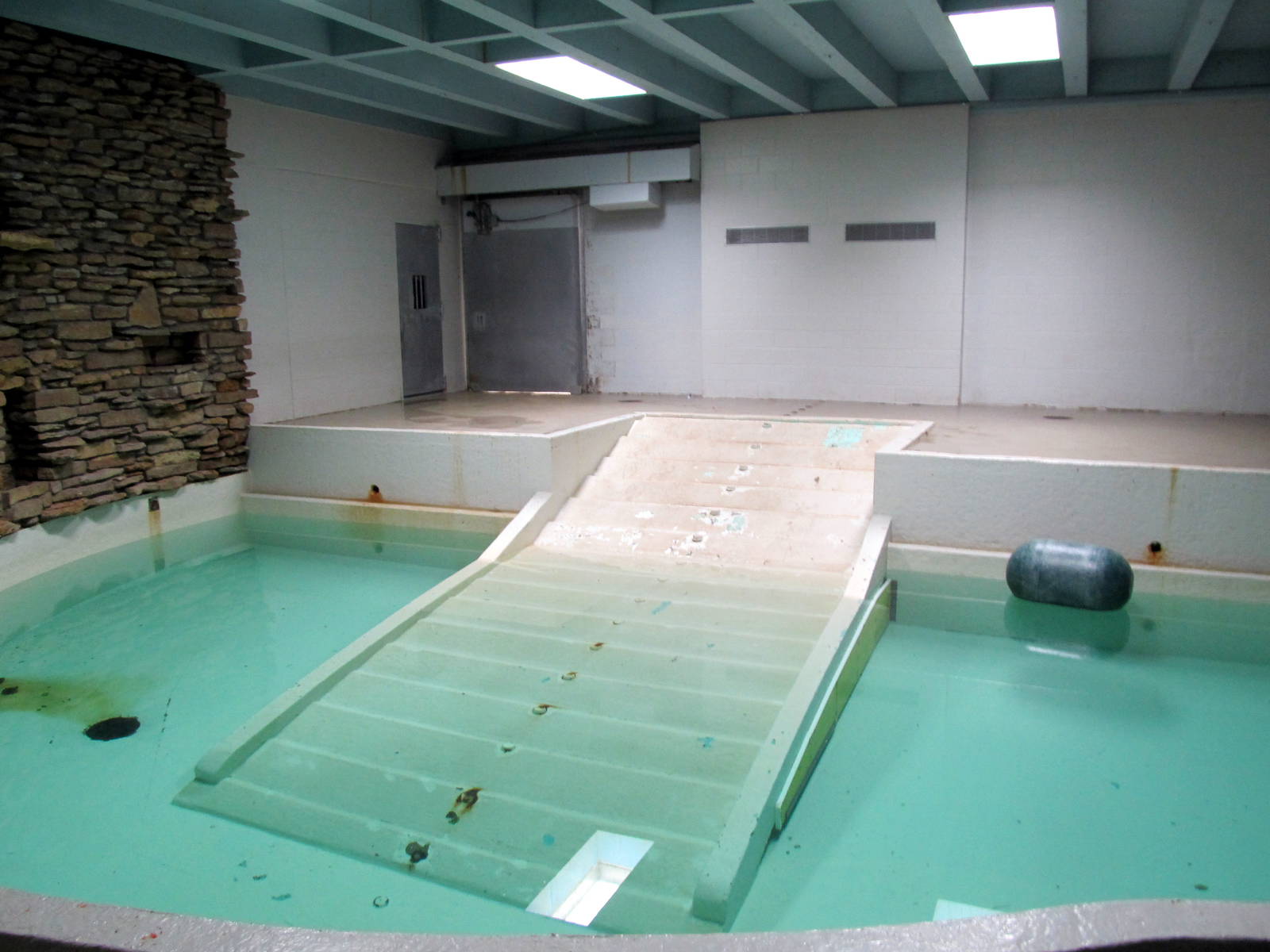 Topeka Zoo 2011 - Hippopotamus Indoor Pool