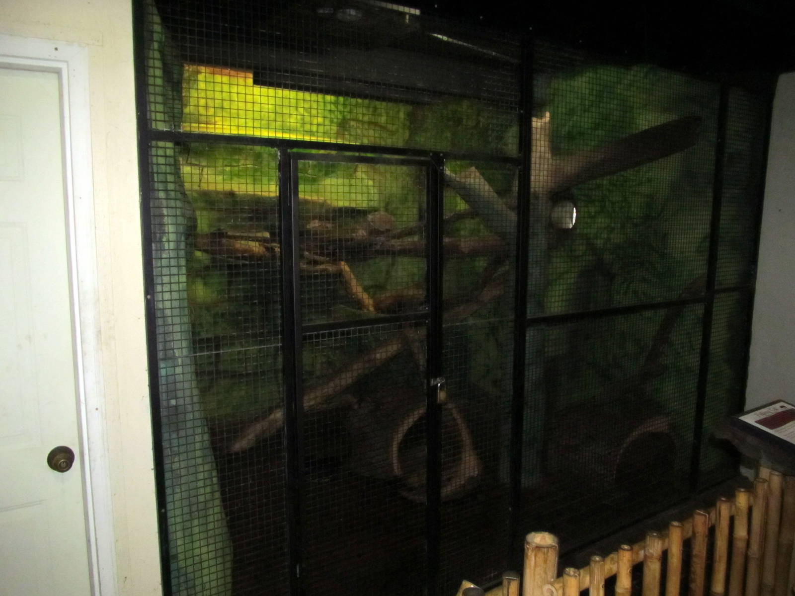 Topeka Zoo 2011 - Indoor Fishing Cat Exhibit