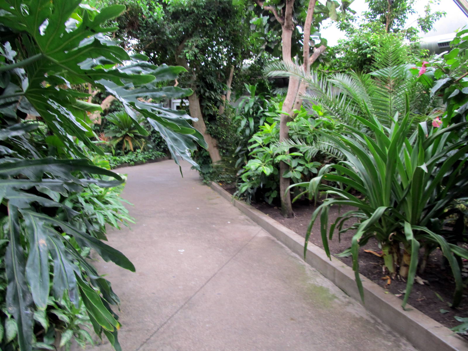 Topeka Zoo 2011 - Path