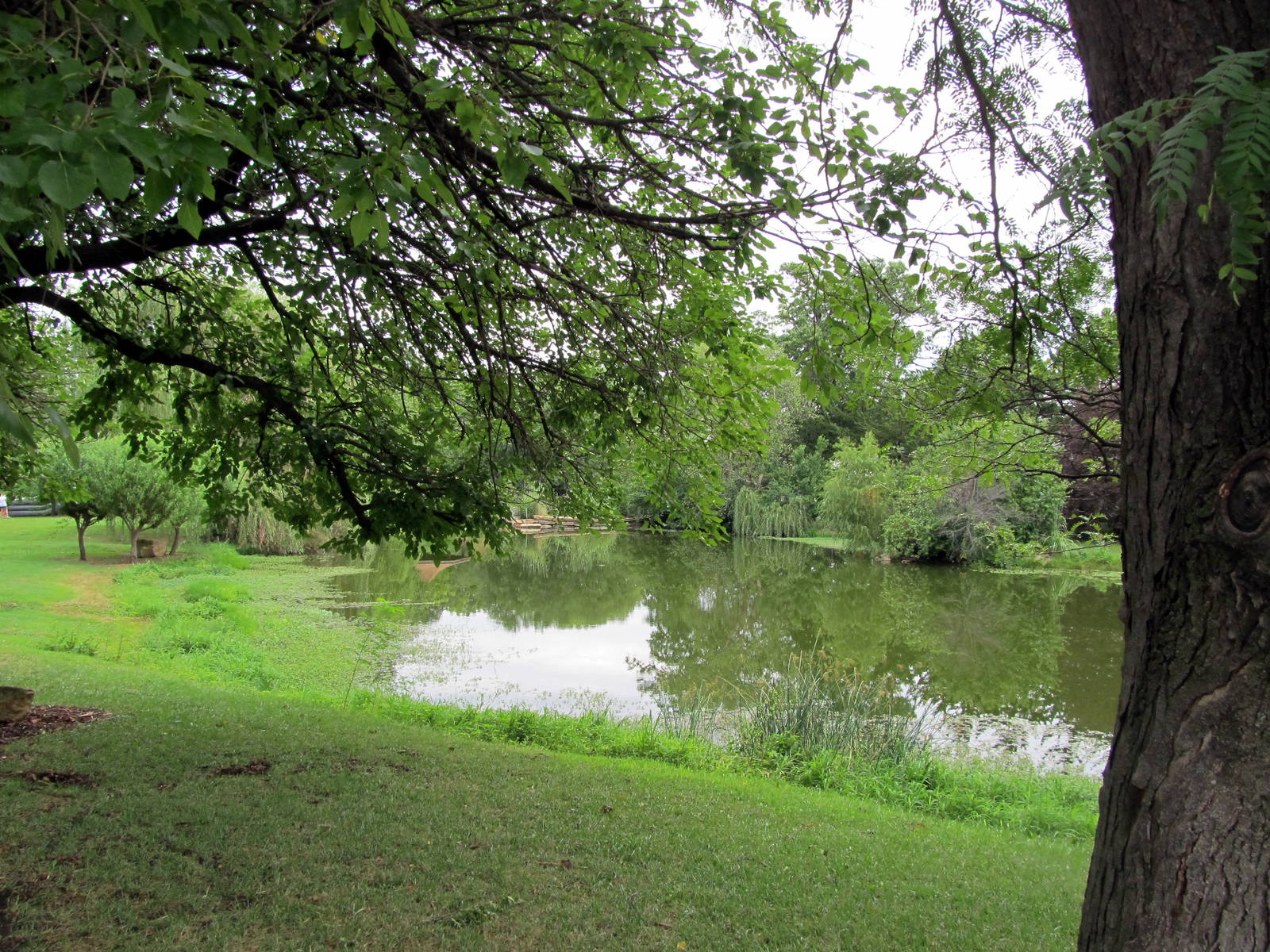 Topeka Zoo 2011 - Pond