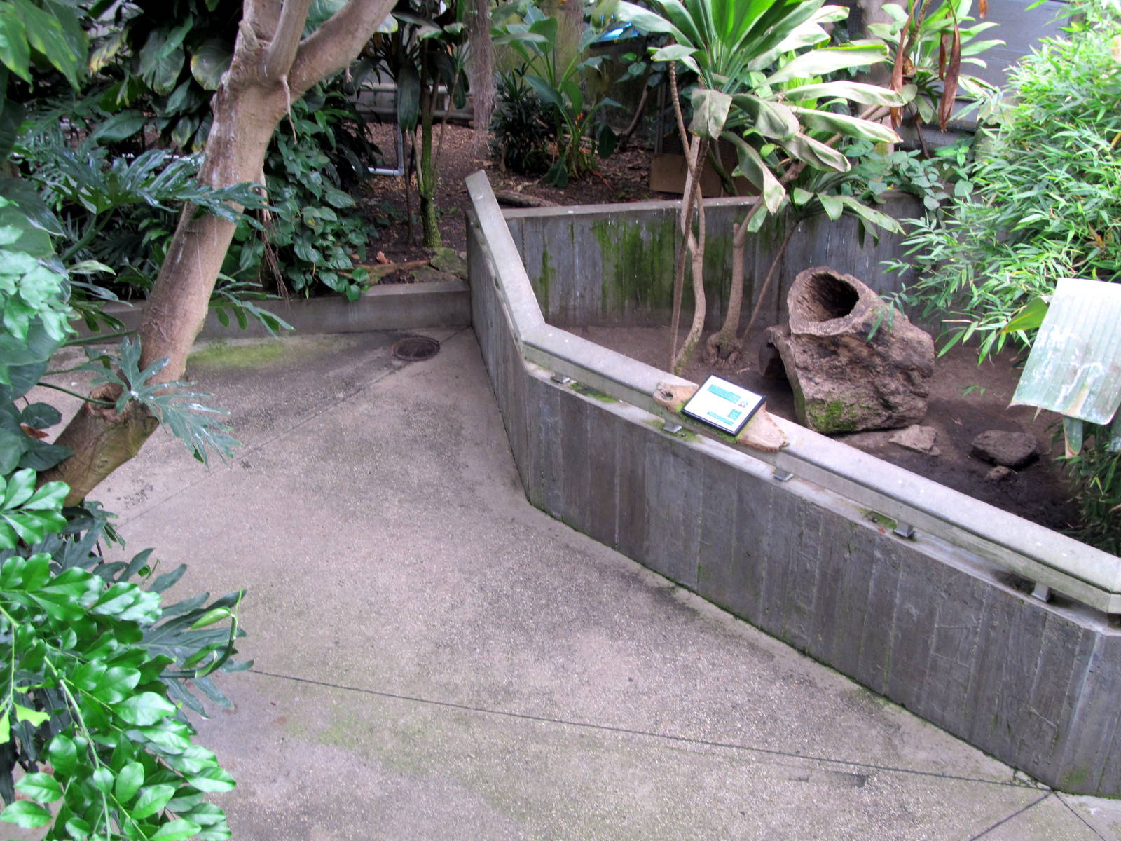 Topeka Zoo 2011 - Red-footed Tortoise Exhibit
