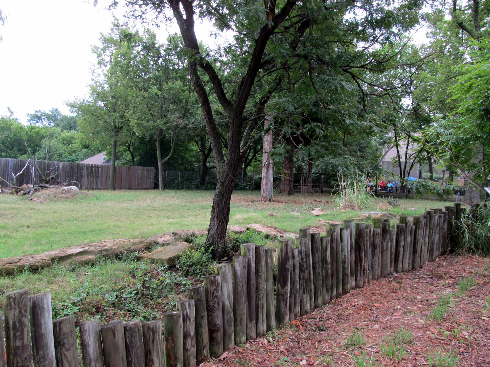 Topeka Zoo 2011 - Reticulated Giraffe Exhibit