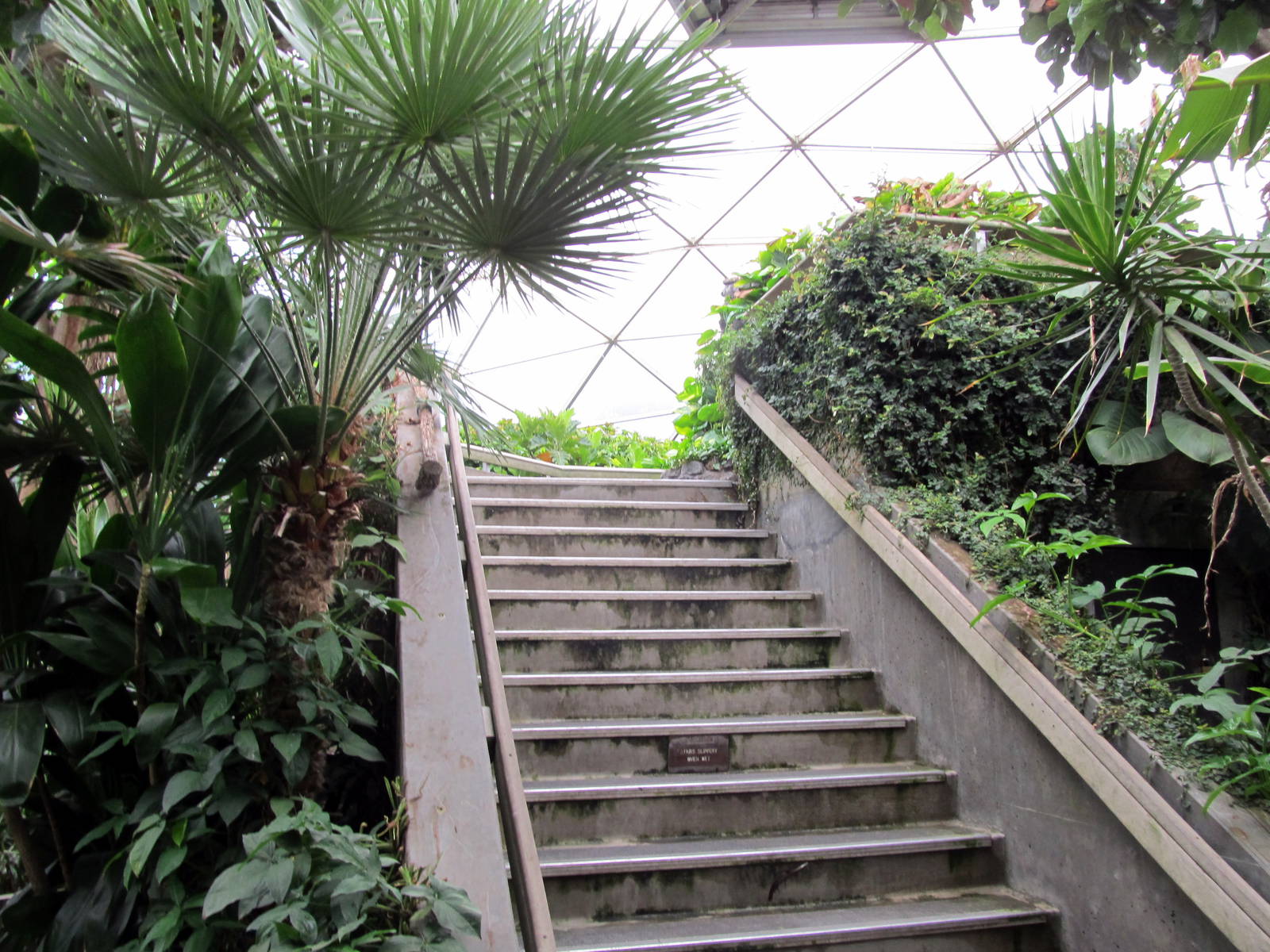 Topeka Zoo 2011 - Stairs to Observation Platform