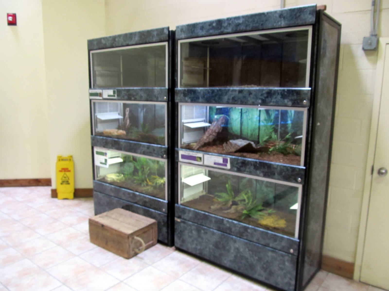 Topeka Zoo 2011 - Terrariums