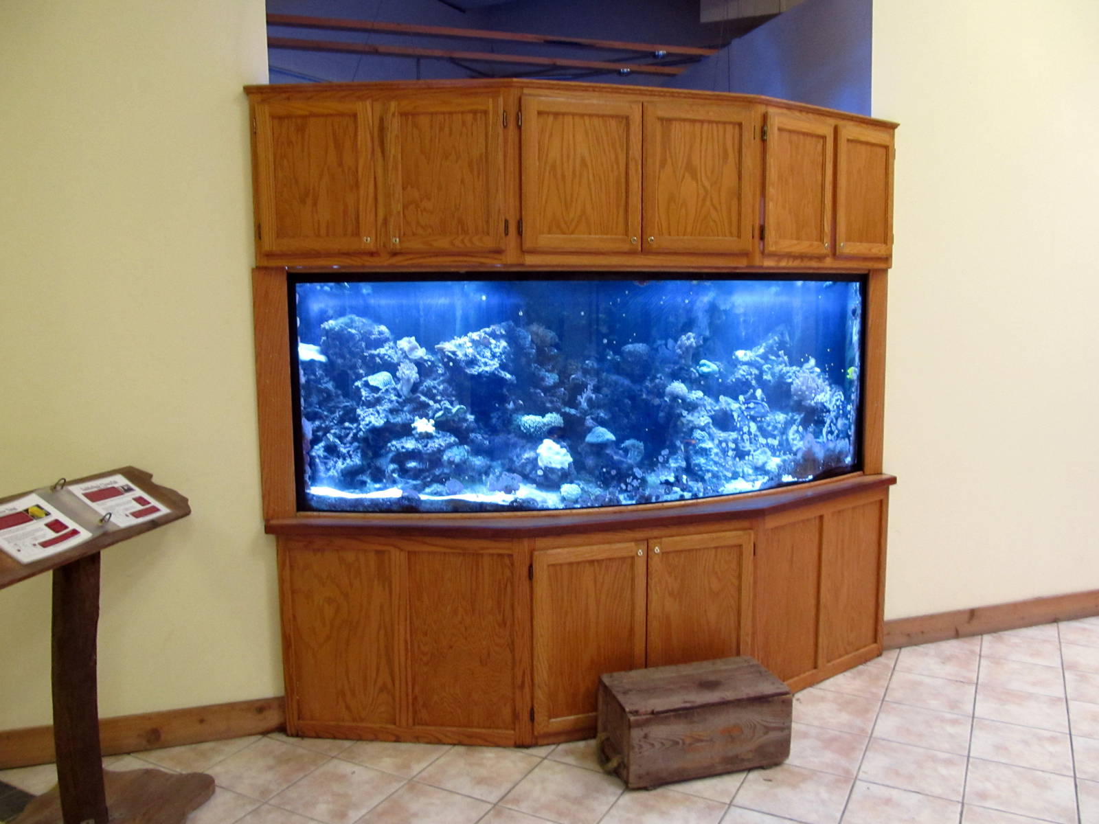 Topeka Zoo 2011 - Tropical Aquarium