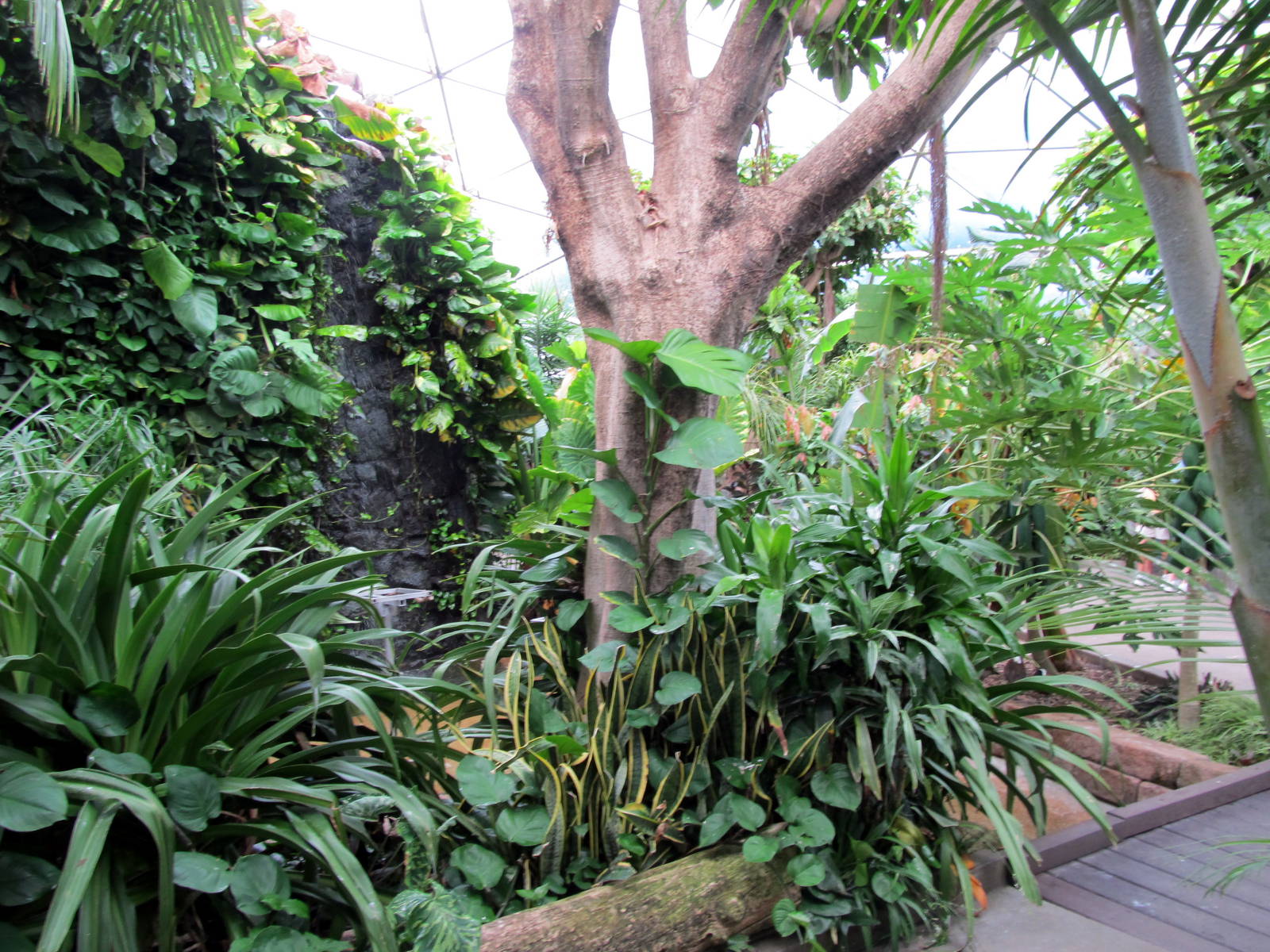 Topeka Zoo 2011 - Tropical Rainforest