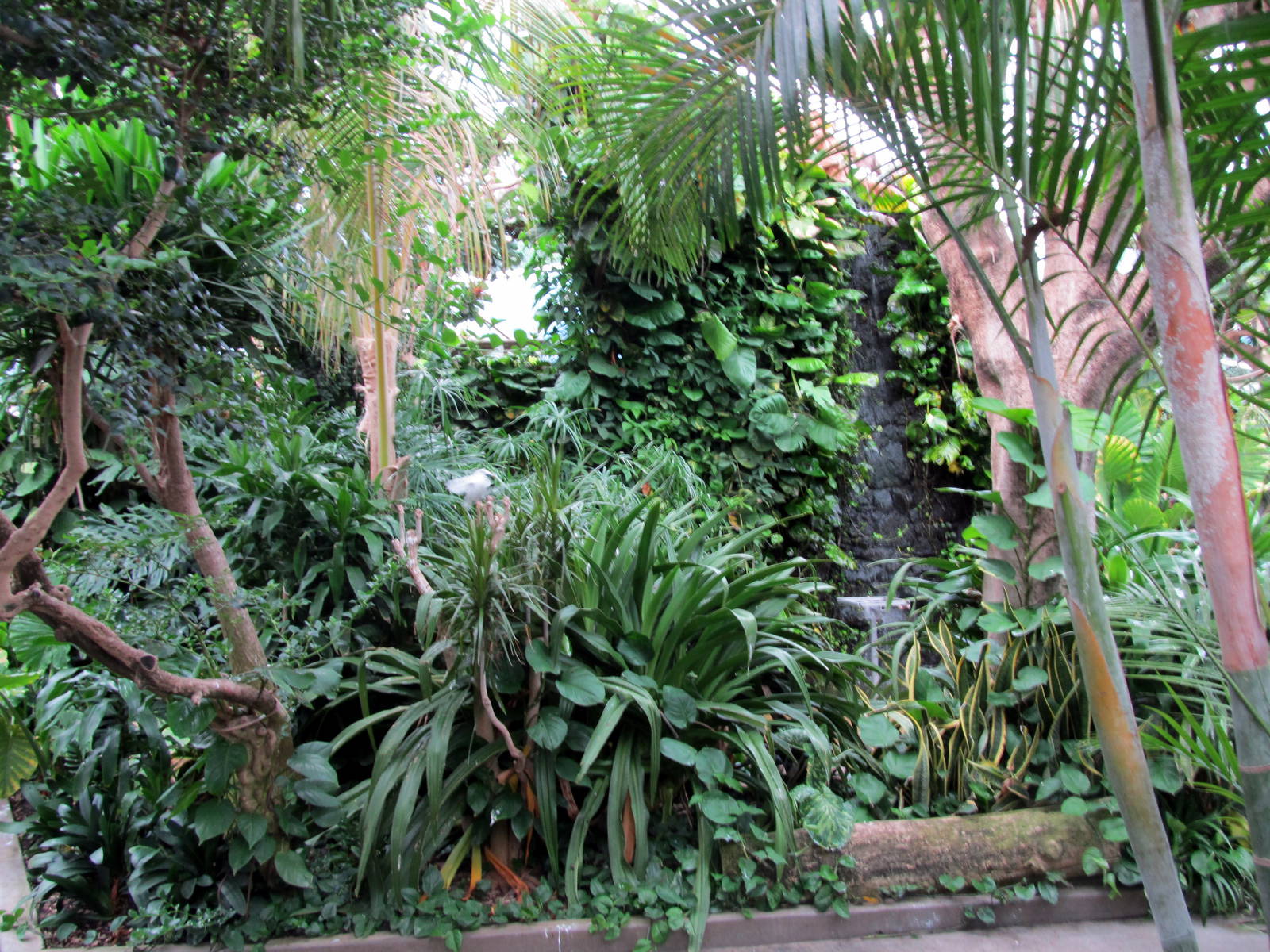 Topeka Zoo 2011 - Tropical Rainforest