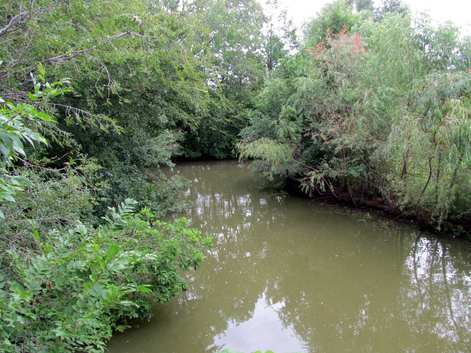 Topeka Zoo 2011 - Waterfowl Exhibit