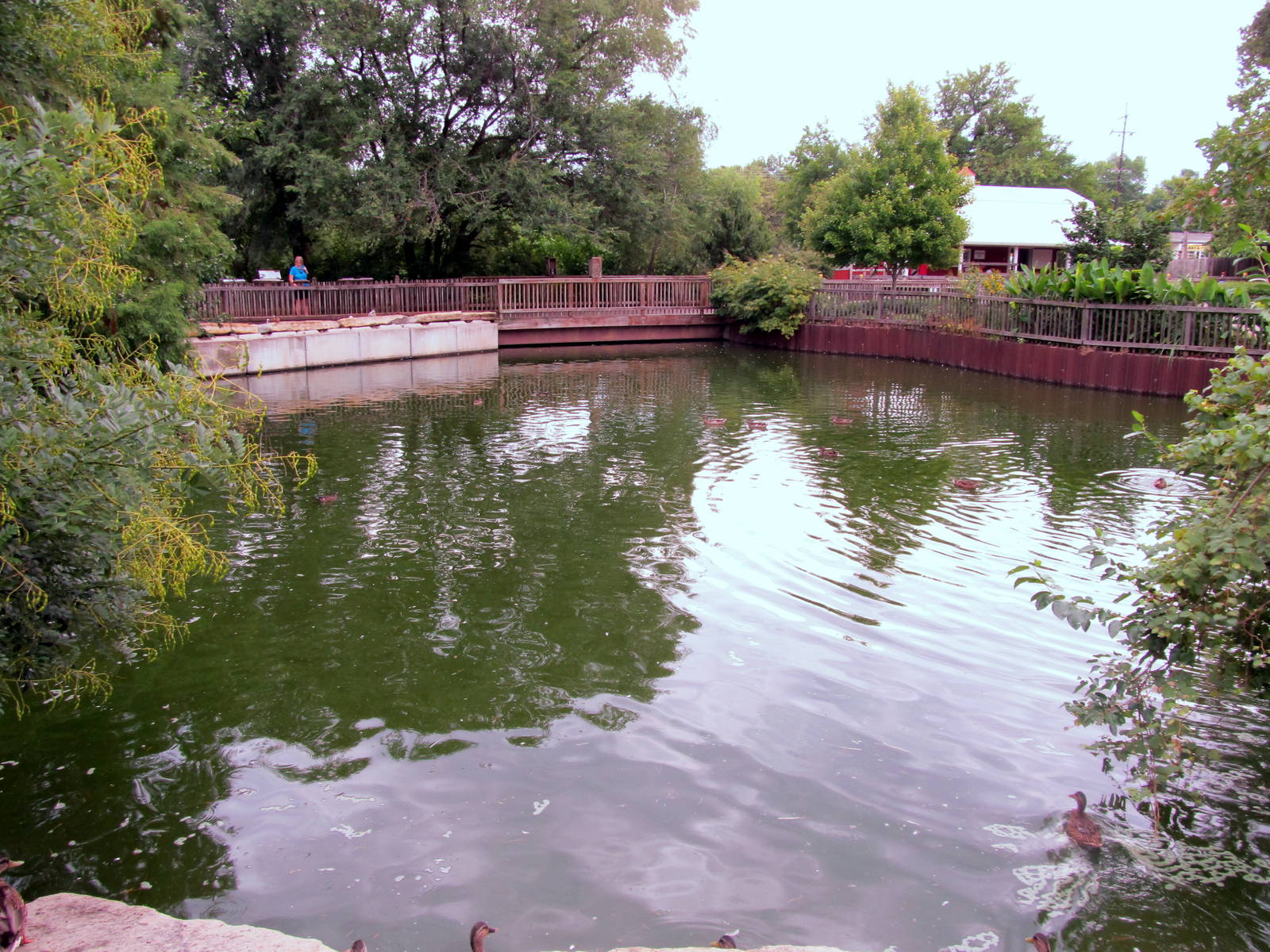 Topeka Zoo 2011 - Waterfowl Pond