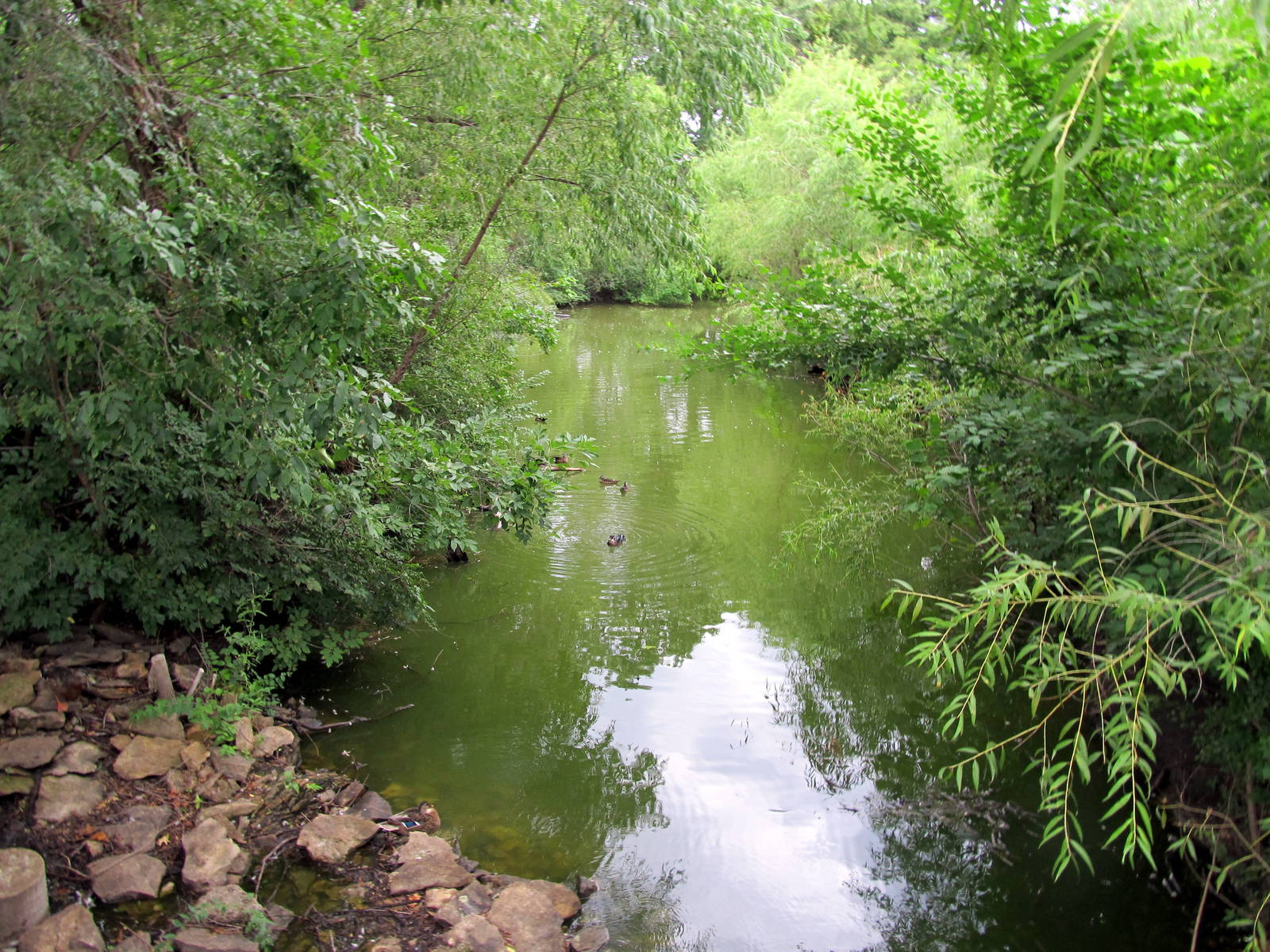 Topeka Zoo 2011 - Waterfowl Pond