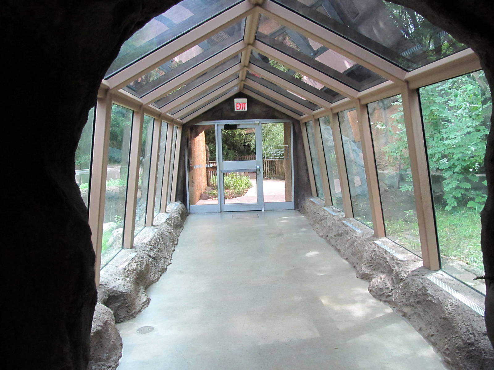 Topeka Zoo 2011 - Western Lowland Gorilla Tunnel