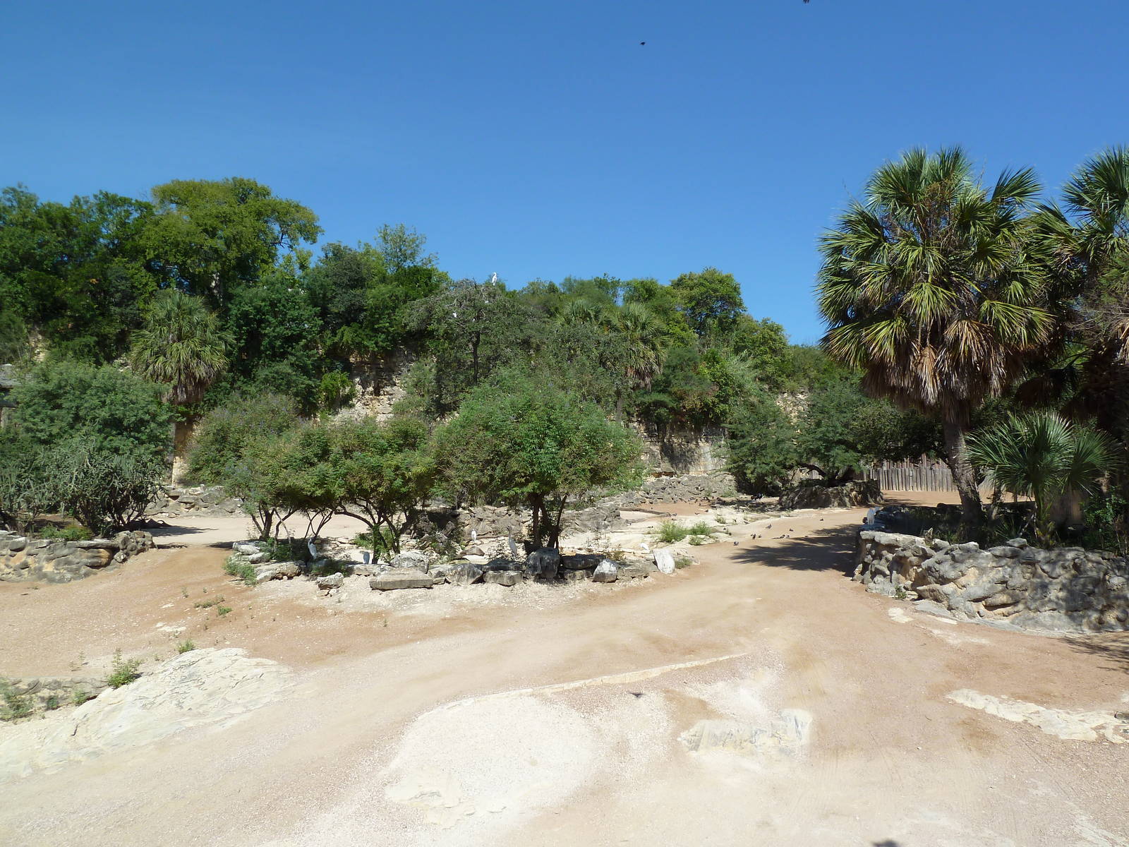 Topi/Ostrich/Marabou Stork Exhibit