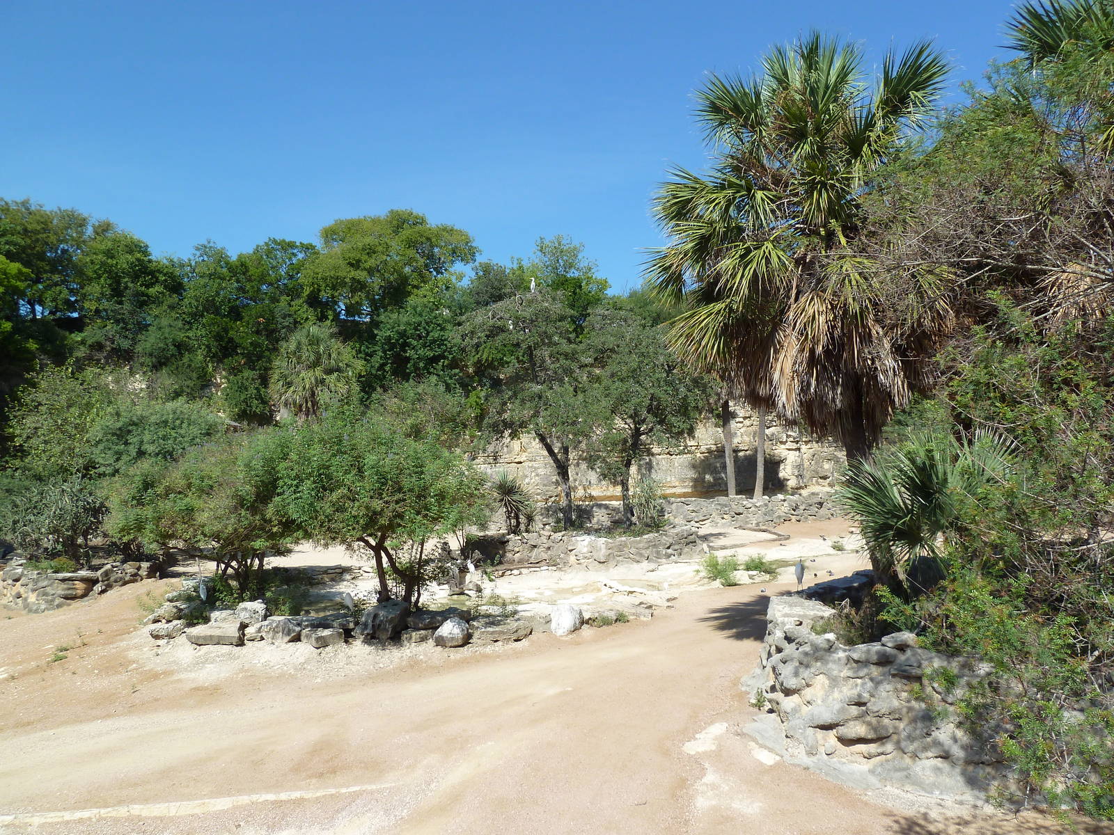 Topi/Ostrich/Marabou Stork Exhibit