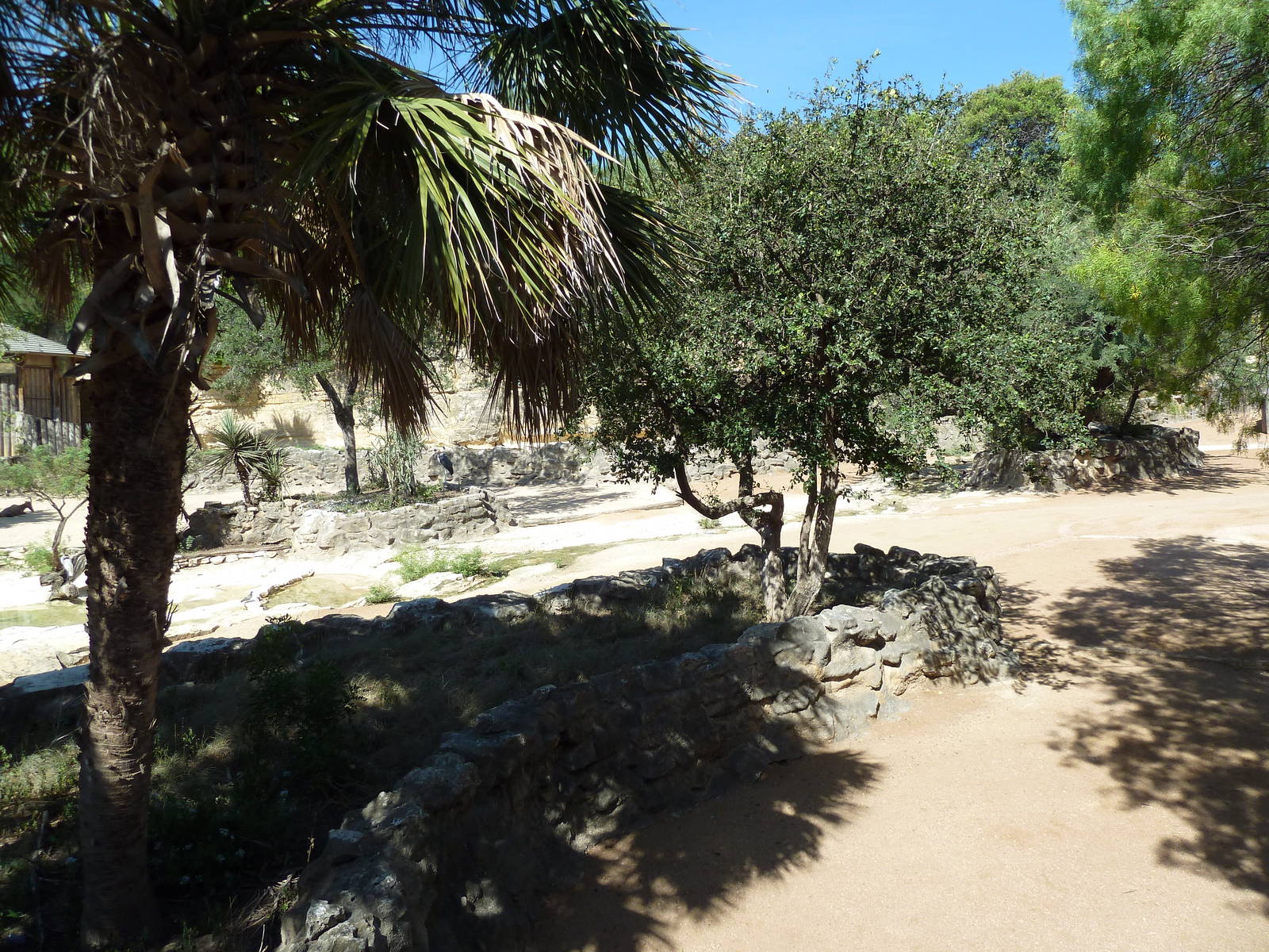 Topi/Ostrich/Marabou Stork Exhibit
