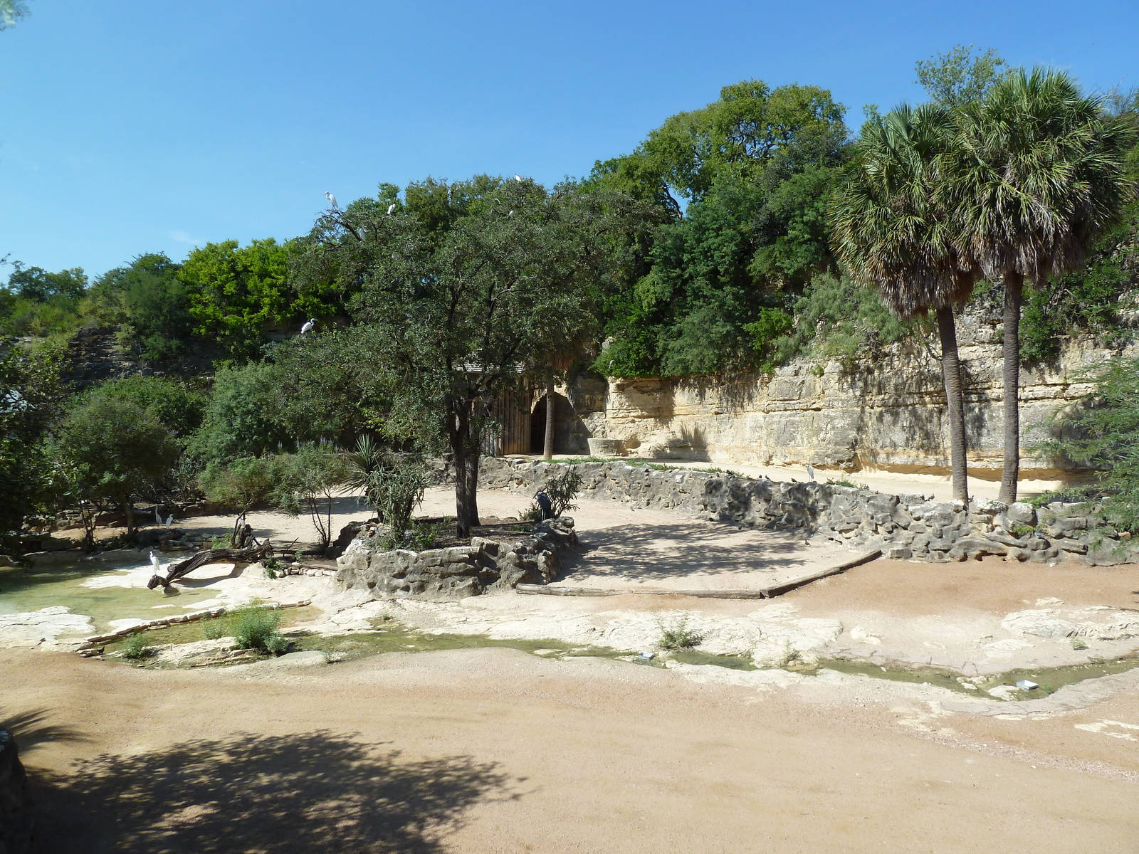 Topi/Ostrich/Marabou Stork Exhibit