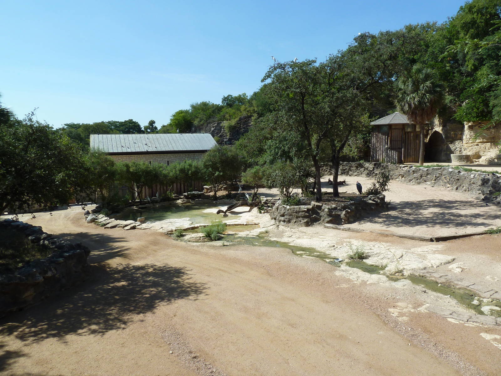 Topi/Ostrich/Marabou Stork Exhibit