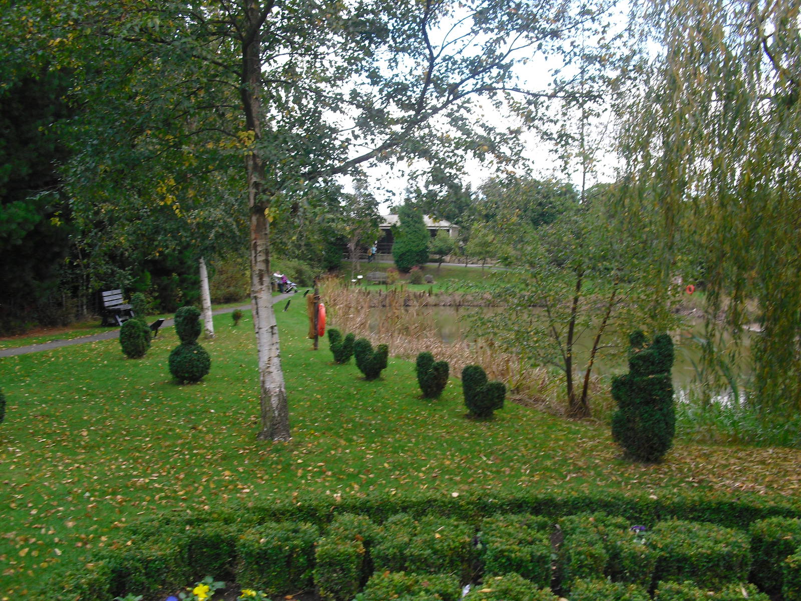 Topiary - 16/10/2011