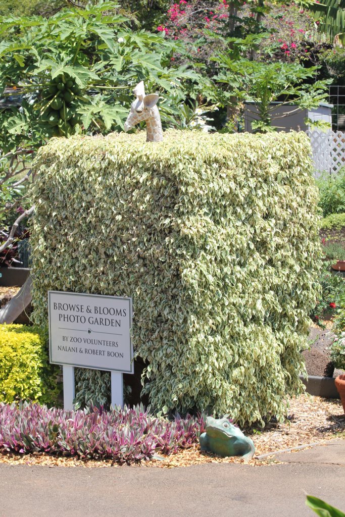 Topiary