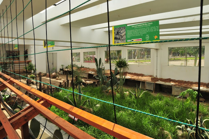 Tordugario - another house for reptiles