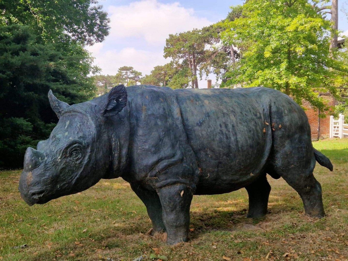 Torgamba, 24 years too late