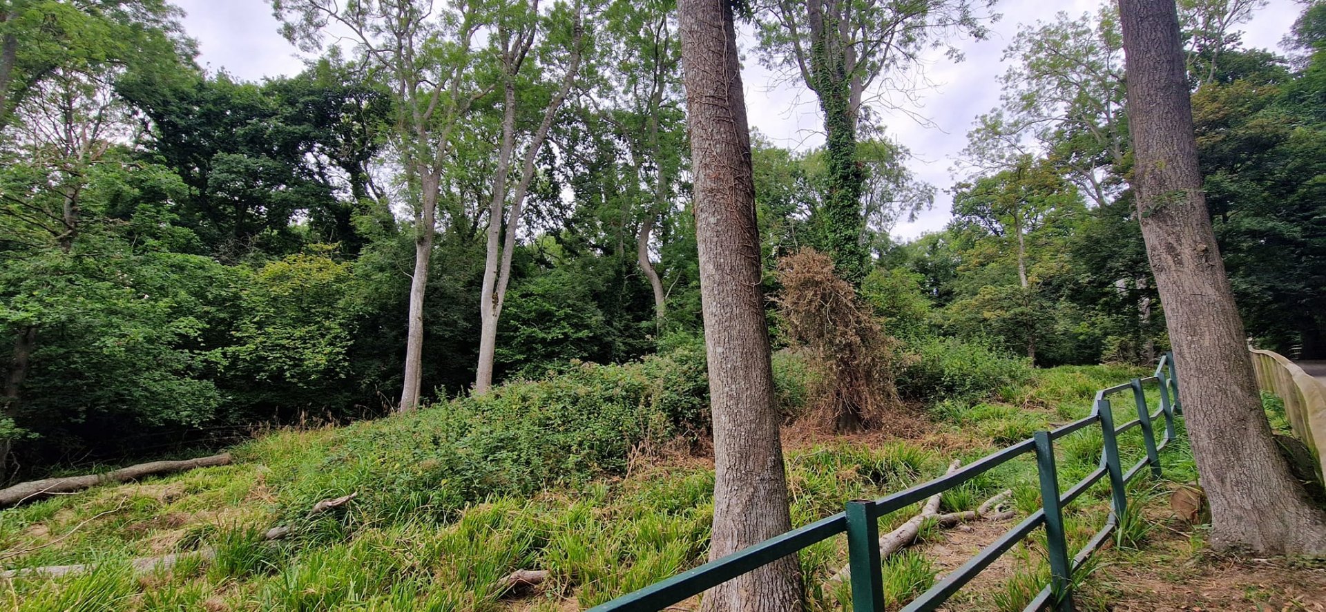 Torgamba former exhibit