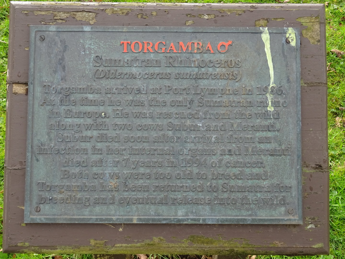 Torgamba Sign