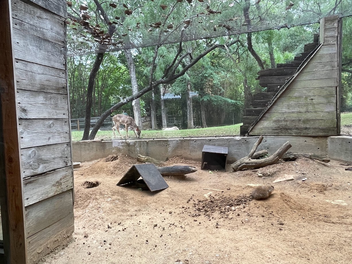 Tornado House Outlook