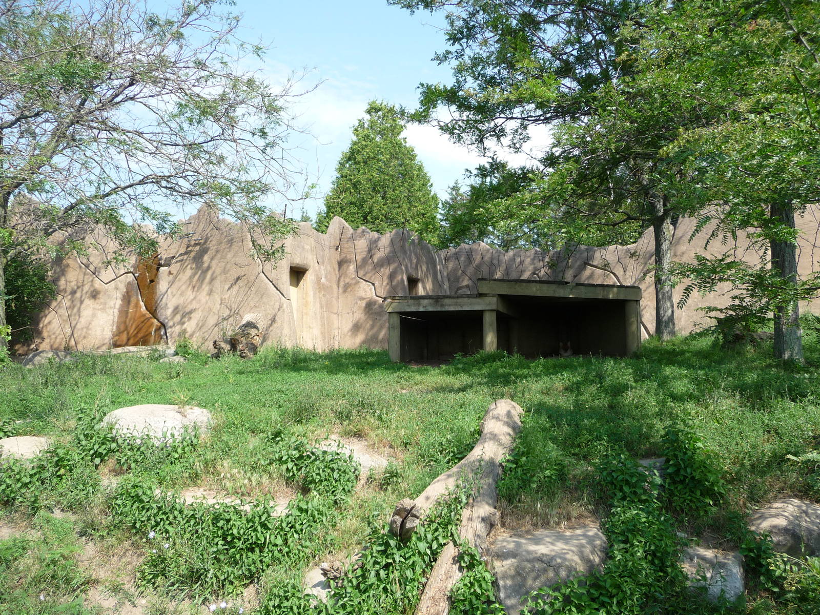 Toronto Zoo - Dhole Exhibit