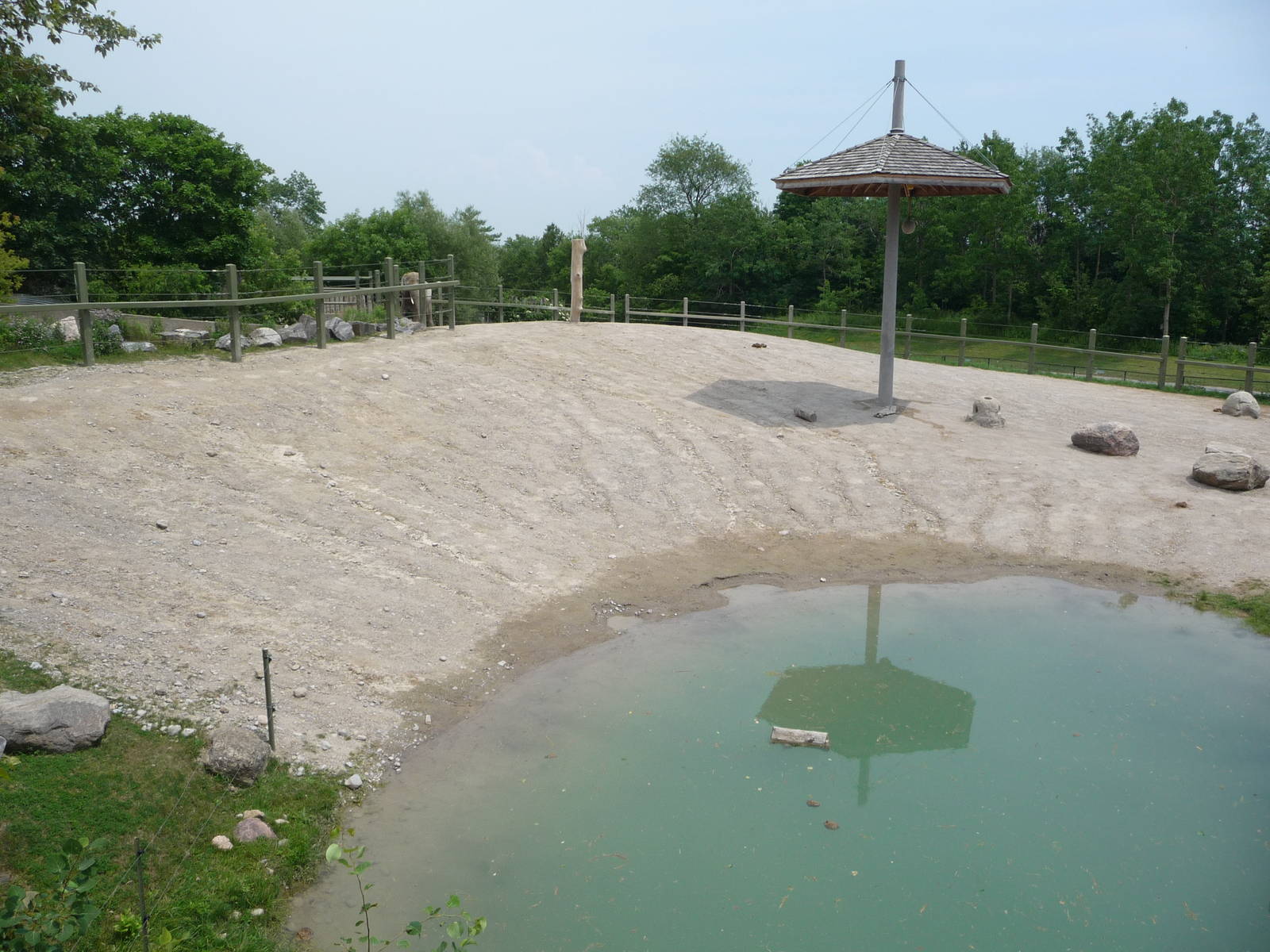 Toronto Zoo - Elephant Pool
