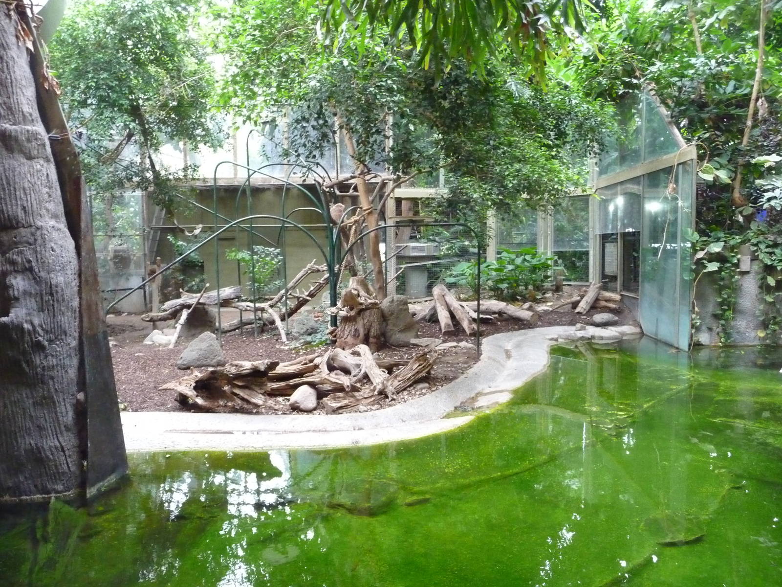 Toronto Zoo - Gibbon Exhibit