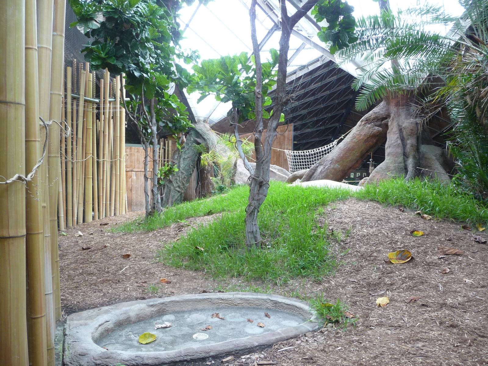 Toronto Zoo - Gorilla Exhibit