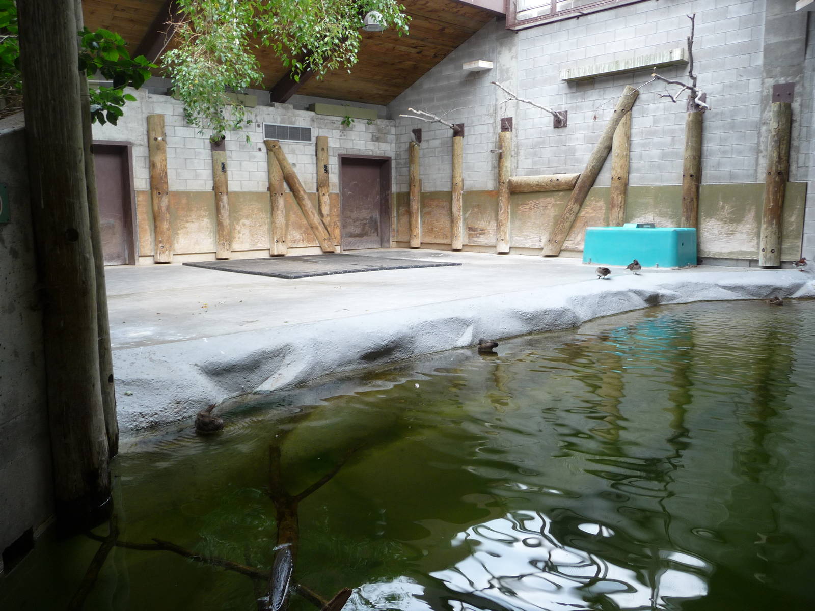 Toronto Zoo - Indian rhino/Malayan tapir building