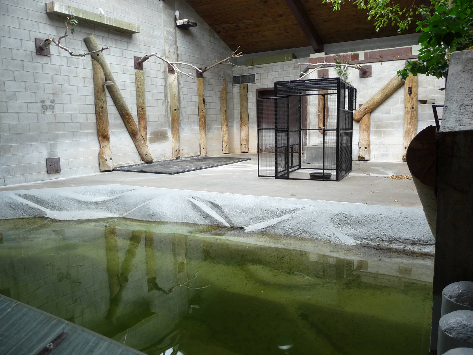 Toronto Zoo - Indian rhino/Malayan tapir building