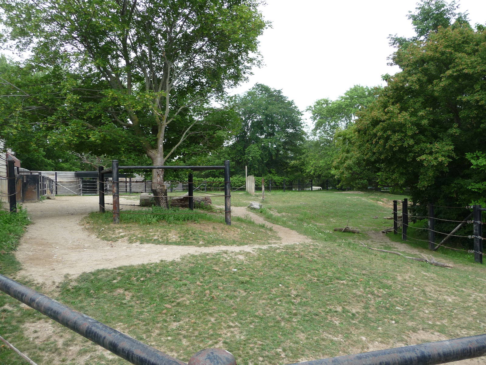 Toronto Zoo - Indian rhino paddock