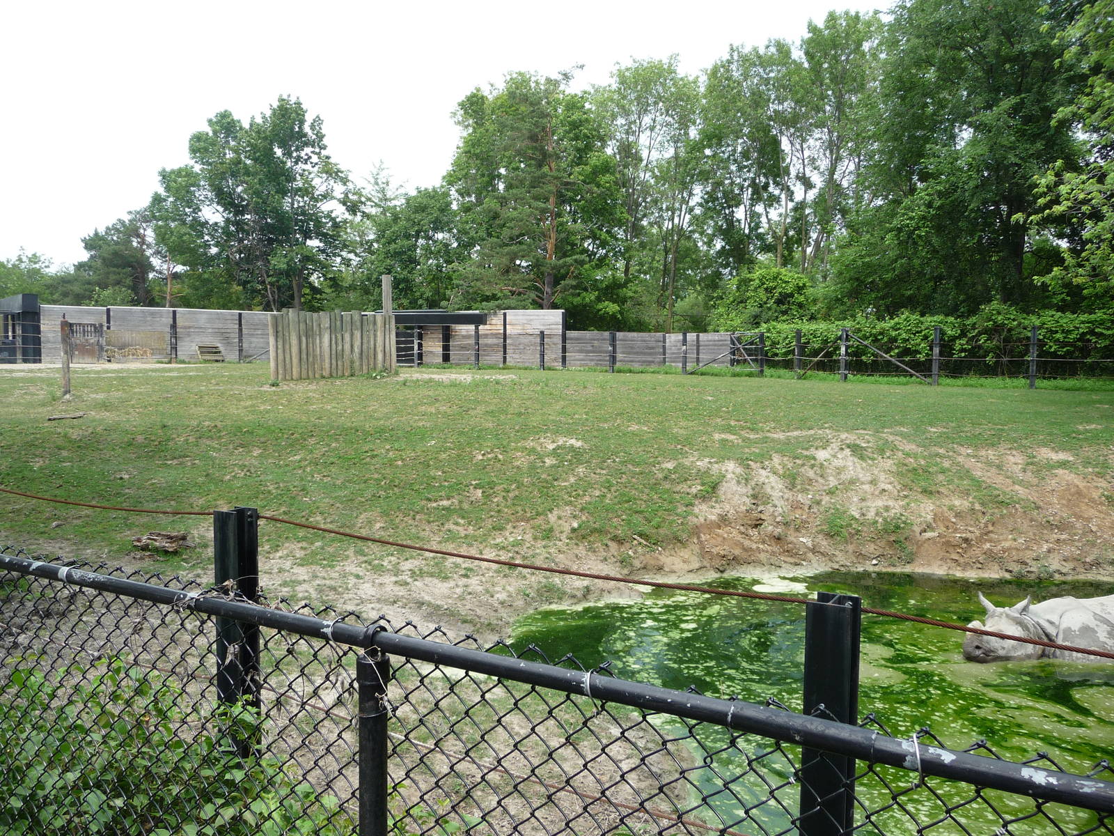 Toronto Zoo - Indian Rhino Paddock