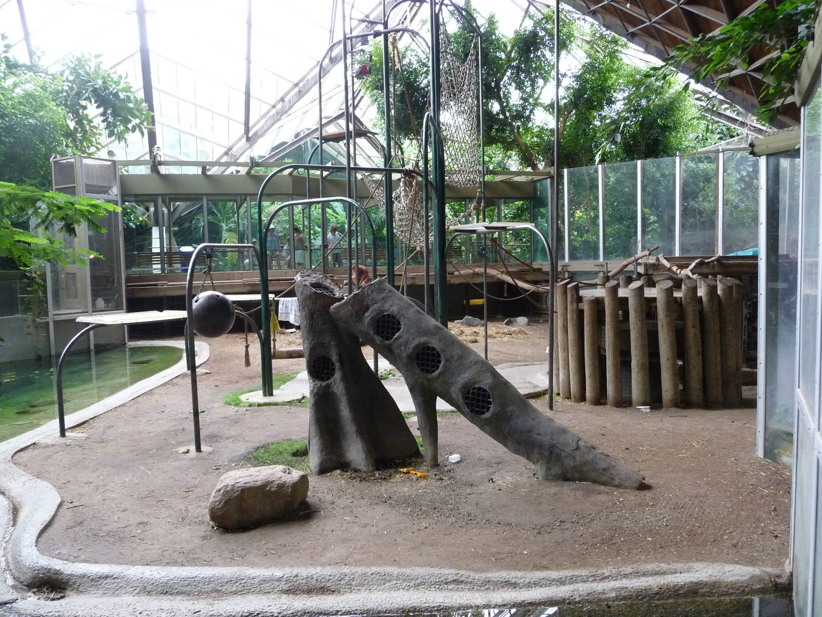 Toronto Zoo - Orangutan Exhibit