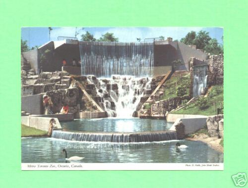 Toronto Zoo postcards
