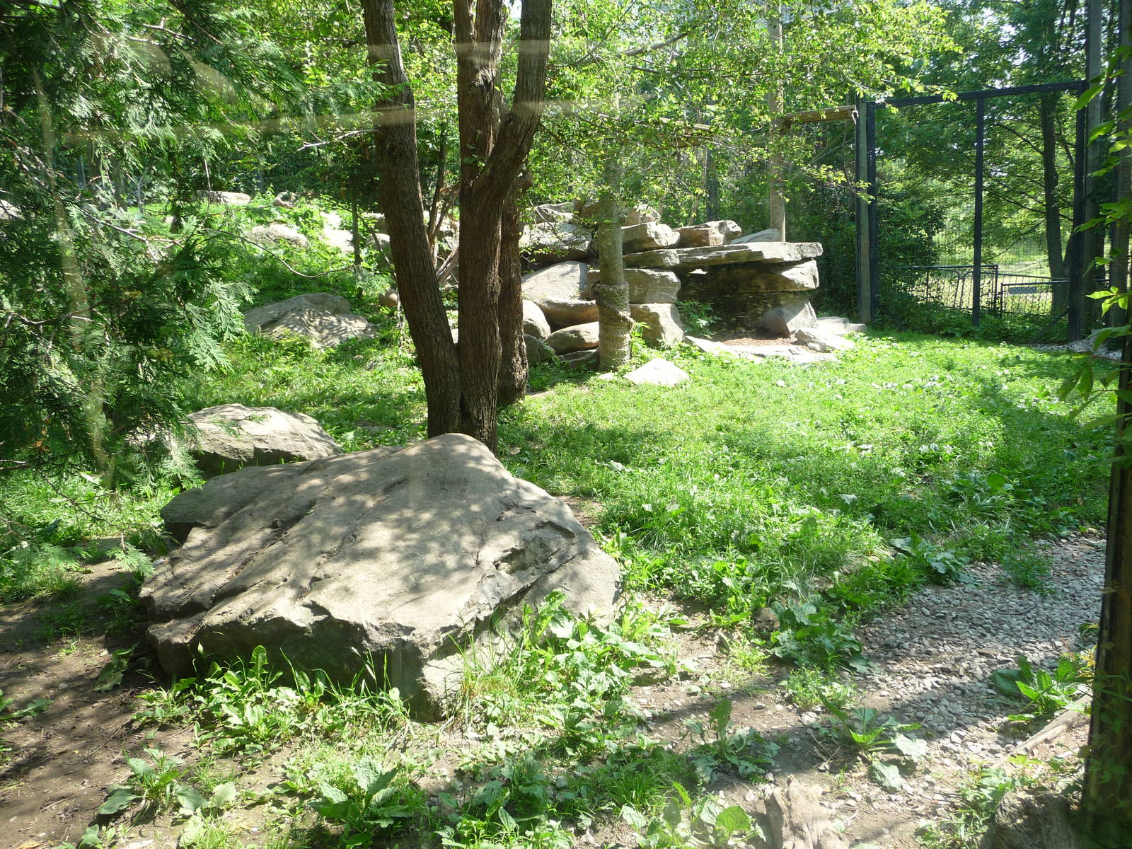 Toronto Zoo - Snow Leopard Exhibit