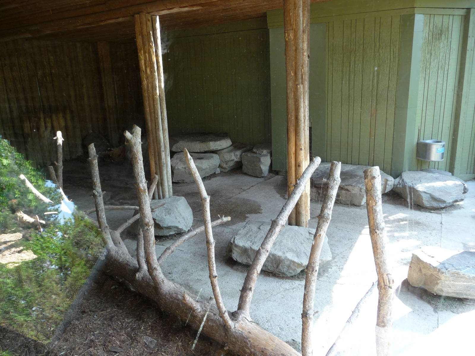 Toronto Zoo - Tiger Exhibit