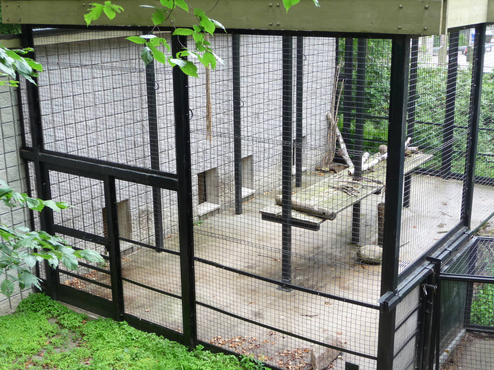 Toronto Zoo - Tiger Exhibit