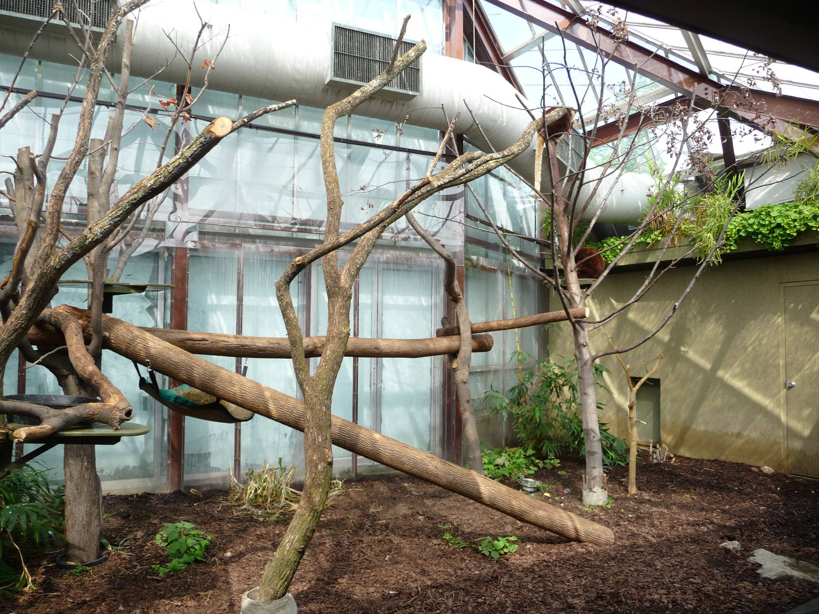 Toronto Zoo - Tree Kangaroo Exhibit